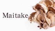 Maitake