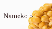 Nameko