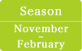 The season of radish is from November to February