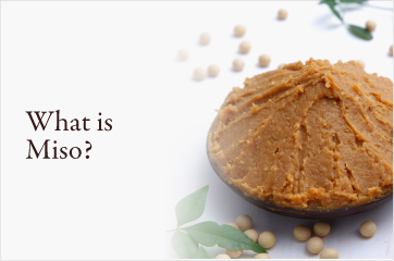 What is Miso?