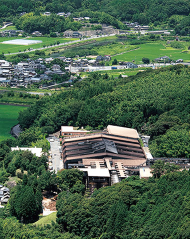 Soy sauce plant seen from above