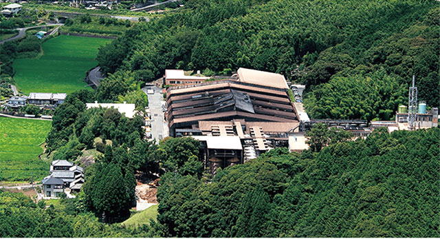 Picture of soy sauce plant